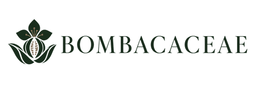 Bombacaceae